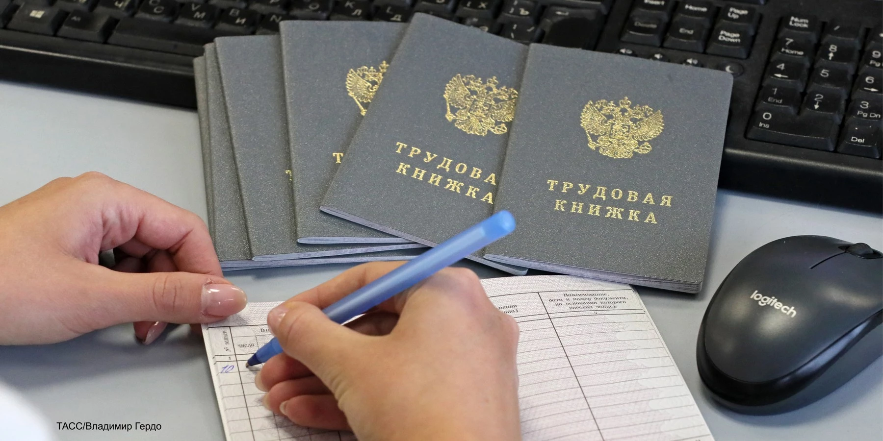 Как правильно внести запись об образовании в трудовую книжку