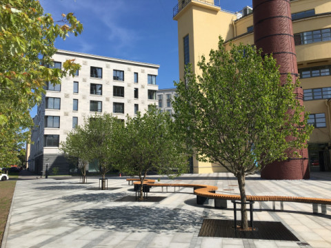 Реконструкция Левашовского хле