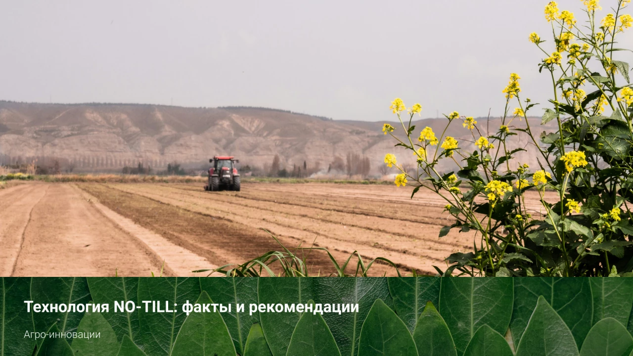 Технология NO-TILL: факты и ре