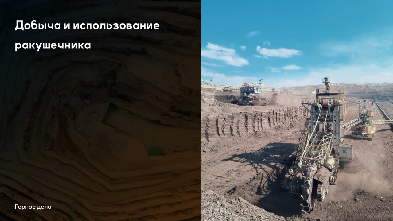 Добыча и использование ракушеч