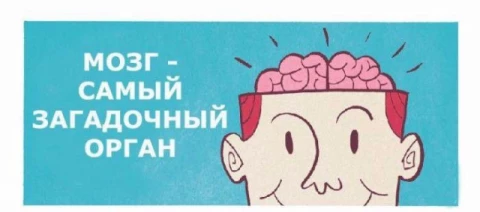 Как развить неограниченные возможности мозга? <br /><br />Возможности вашего мозга беспредельно широки. Не верите? Попробуйте заняться тренировкой собственного серого вещества. Это позволит вам достичь больших успехов в бизнесе, карьере и общении. <br />Всем своим достижениям в работе, учебе или обществе человек обязан упорной работе мозга. Мозговая активность важна для всех, школьников и студентов, бизнесменов и служащих. Всем известно, что положительно влияет на мозг изучение нового, чтение книг, просмотр познавательных передач. <br /><br />Как же развить нестандартное мышление, активируя части мозга, которые не были задействованы раньше? Тренировка мозга не потребует от вас много времени, достаточно потратить всего 15 минут в течение дня. <br />Есть простой способ по-другому взглянуть на возможности своего мозга. Возьмите 4 белых листа бумаги. На первом напишите что-нибудь привычной для вас рукой слева направо. На втором – тоже привычной рукой, но уже в обратном направлении. На 3 и 4 листах проделайте то же самое другой рукой. Первый лист – это образец, к которому вы должны стремиться. Повторяйте свои попытки день ото дня - и вы увидите, что начали мыслить по-другому. Это простое упражнение заставляет работать недействующие в повседневной жизни области мозга. <br /><br />В итоге такая тренировка позволить вам принимать нестандартные решения и находить простой выход даже из самых сложных ситуаций, что неоднократно потребуется на работе и дома.