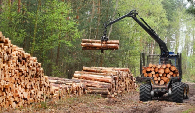 Особенности отраслевого соглашения по лесопромышленному комплексу