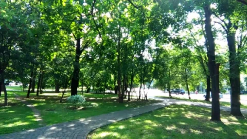 sample-30s.mp4